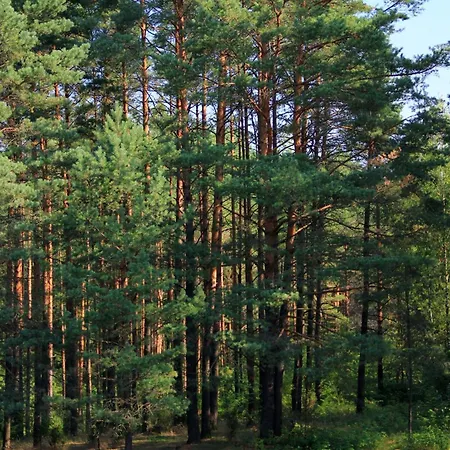 Apartamentai Laima Druskininkai