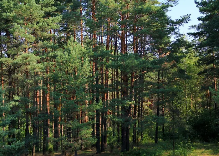 Apartamentai Laima Druskininkai